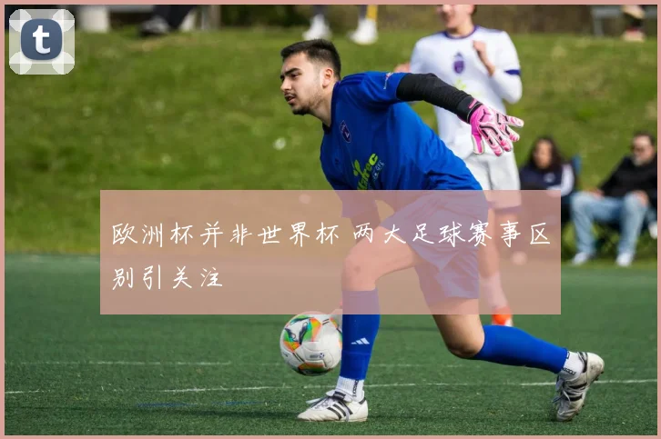 欧洲杯并非世界杯 两大足球赛事区别引关注