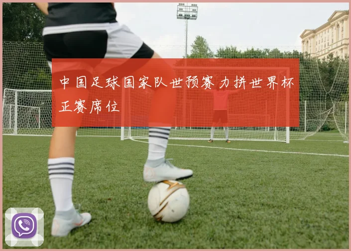 中国足球国家队世预赛力拼世界杯正赛席位