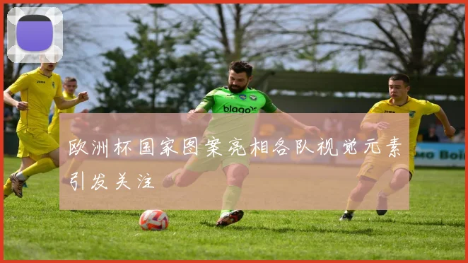 欧洲杯国家图案亮相各队视觉元素引发关注